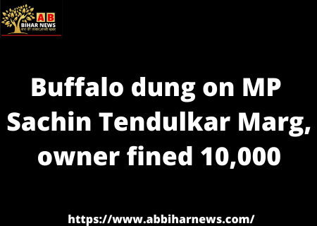  MP के सचिन तेंदुलकर मार्ग पर भैंस ने कर दिया गोबर, मालिक ने भरा 10,000 का जुर्माना