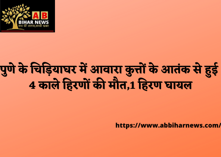  पुणे के चिड़ियाघर में आवारा कुत्तों के आतंक से हुई 4 काले हिरणों की मौत,1 हिरण घायल