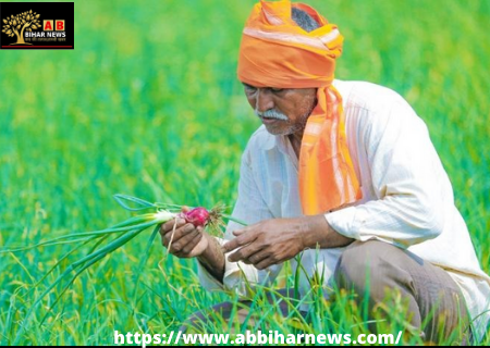  बिहार: सहकारिता विभाग का बयान- कृषि विभाग से रजिस्टर्ड किसान ही 21 फरवरी तक बेच सकेंगे धान