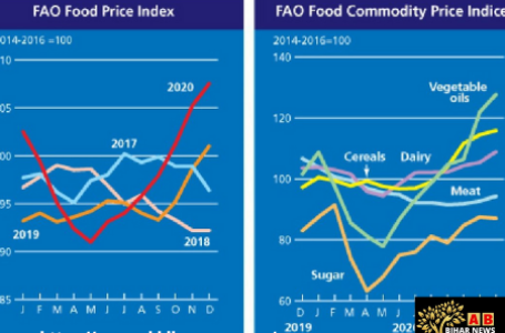 विश्व खाद्य मूल्य सूचकांक में फरवरी में वृद्धि दर्ज की गयी