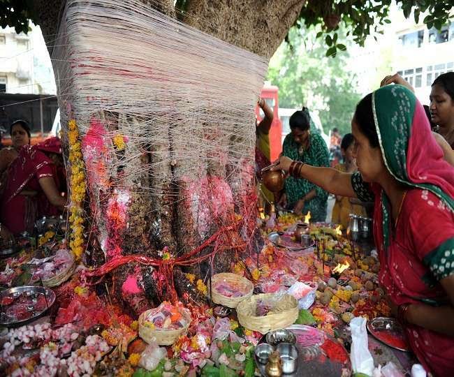  जानिए वट सावित्री व्रत के पूजा और सामग्री के बारे में