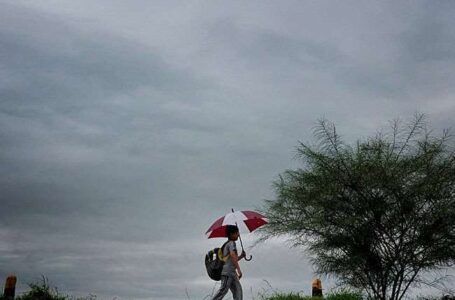 उत्तर बिहार के सीतामढ़ी समेत 7 जिलों में बारिश के आसार, मौसम विभाग ने जारी किया अलर्ट