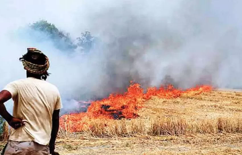  बिहार : सख्ती के बाद भी पराली जलाने से बाज नहीं आ रहे किसान, बक्सर  में पराली जलाने वाले 13 पर होगी कार्रवाई