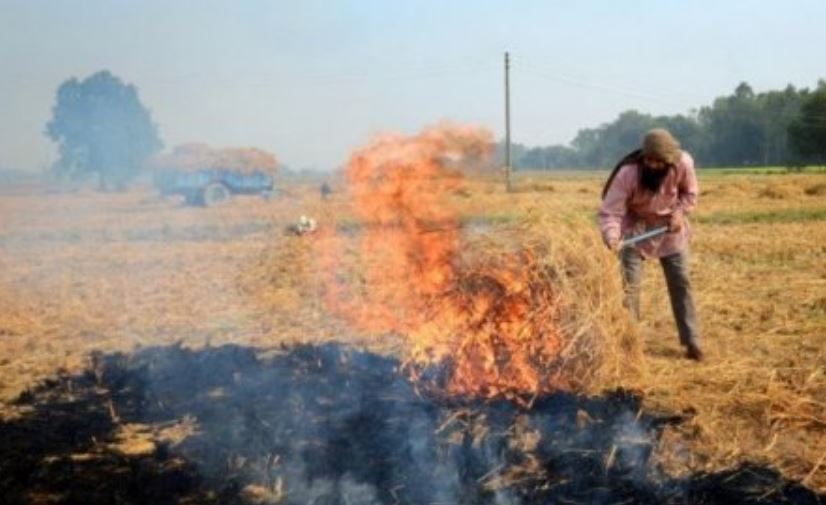  पराली जलाना अब अपराध नहीं! केंद्र ने किसानों की एक और मांग मानी, कृषि मंत्री ने किया ऐलान