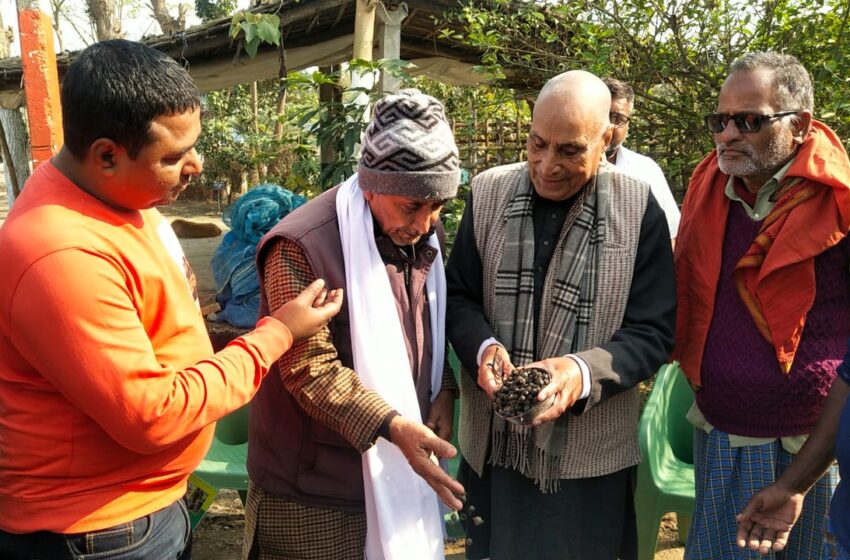  अब बंदरा में भी होगी मखाना की खेती, बाबा मत्स्य हैचरी कॉम्प्लेक्स में हुई शुरुआत