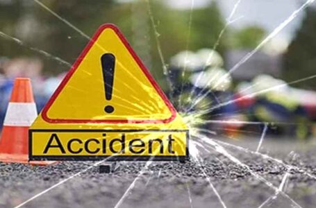 Road Accident: जमुई में तेज रफ्तार कार ने पेड़ में मारी टक्कर, जुड़वां बच्चे सहित महिला की मौत, कई घायल