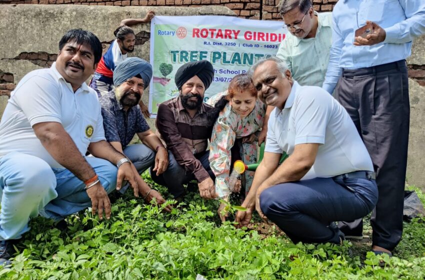  पर्यावरण के संतुलन बनाने हेतु मोंगिया ग्रीन फाउंडेशन और रोटरी क्लब ने किया पौधारोपण