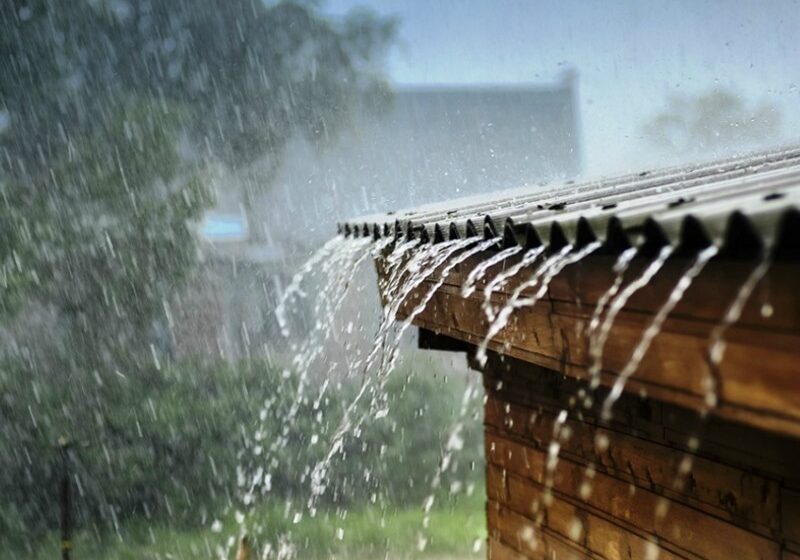  Bihar Weather: बिहार में मॉनसूनी का दौर जारी,   दरभंगा और मुजफ्फरपुर जिले में बारिश का अलर्ट