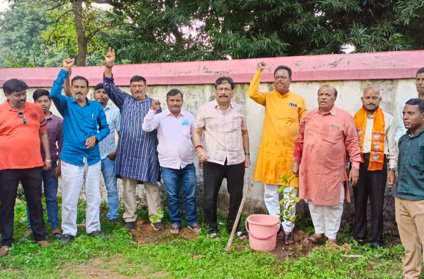  भाजपा ने सेवा पखवाड़ा के तहत स्वच्छ पर्यावरण बनाए रखने, किया वृक्षारोपण