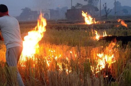 वायु प्रदूषण को लेकर बिहार सरकार ने सख्त, फसल अवशेषों जलाने वाले किसानों के खिलाफ F.I.R आदेश