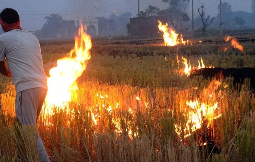  वायु प्रदूषण को लेकर बिहार सरकार ने सख्त, फसल अवशेषों जलाने वाले किसानों के खिलाफ F.I.R आदेश