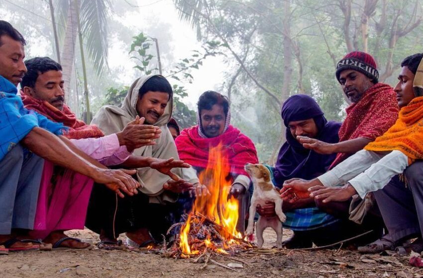  Bihar Weather News: बिहार में बढ़ी कड़ाके की ठंड,  अब तक तीन लोगों की मौत