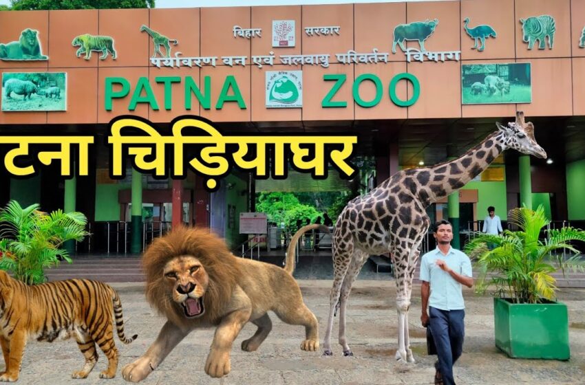  New Year 2023: नए साल के मौके पर पटना ZOO में छोड़े जायेंगे Tiger के चार बच्चे, एडवांस बुकिंग शुरू