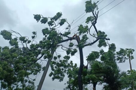 Bihar Weather: बिहार में बदलते मौसम के बीच तेज हवाओं से लोग परेशान,नाव से यात्रा करने वालों के लिए अलर्ट जारी