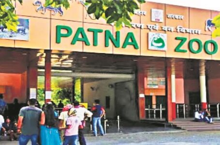 Patna Zoo: गर्मी के कारण पटना जू में दर्शकों की संख्या में आई कमी, जानवरों को गर्मी से बचने के लिए विशेष व्यवस्था