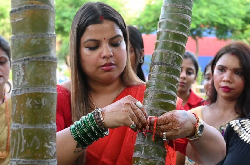  एक राखी पेड़ के नाम जन जागरूकता कार्यक्रम आयोजित