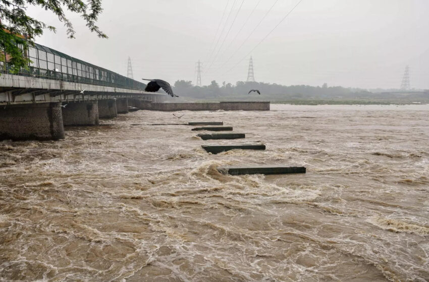  Bihar Flood: आरा की गंगा और सोन नदी के जलस्तर में वृद्धि, बाढ़ आने का खतरा 